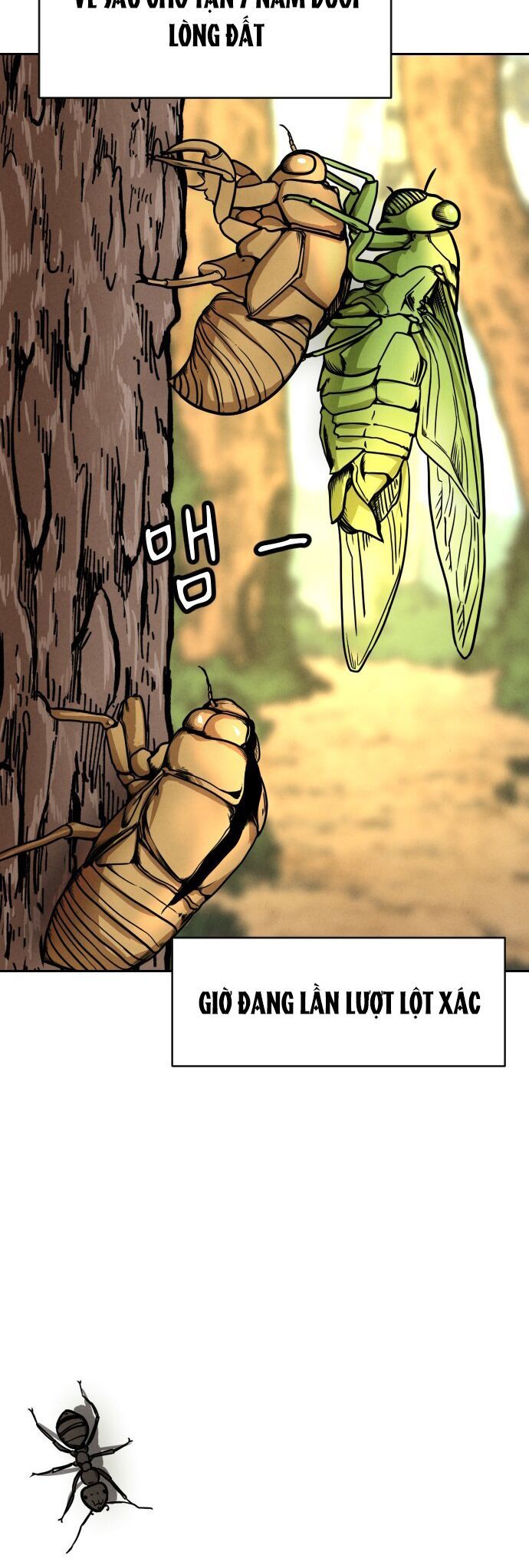 Chương 1 - Trang 3