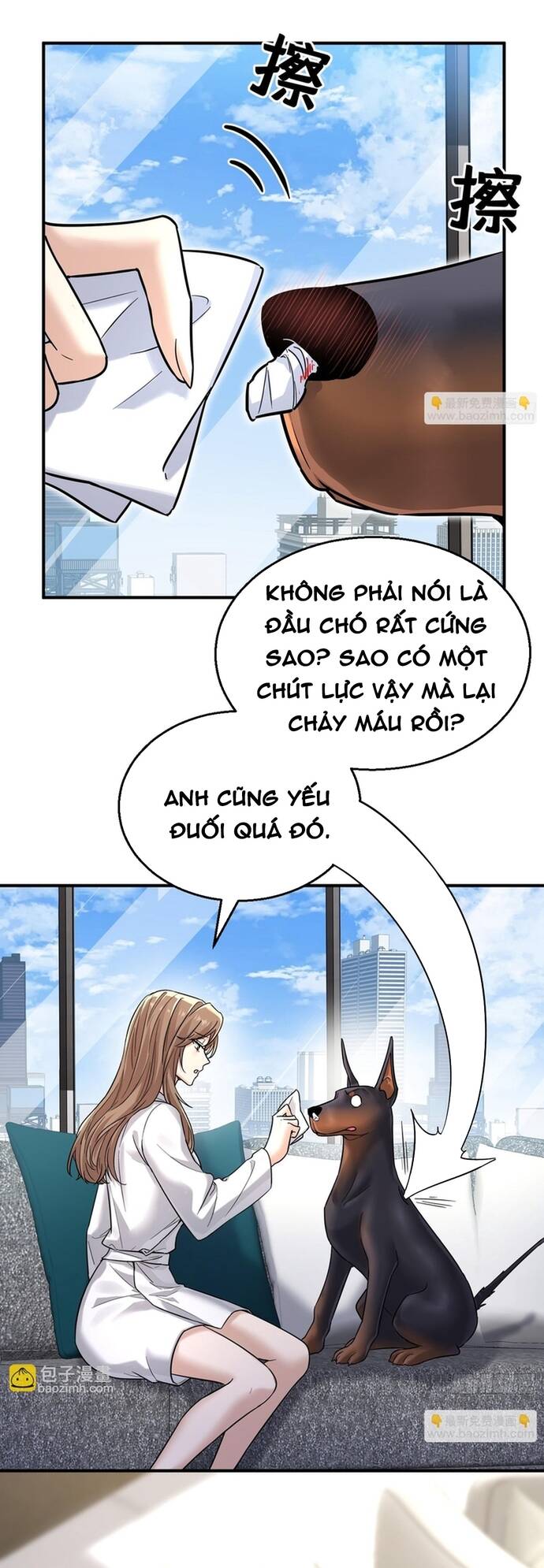 Trang 24