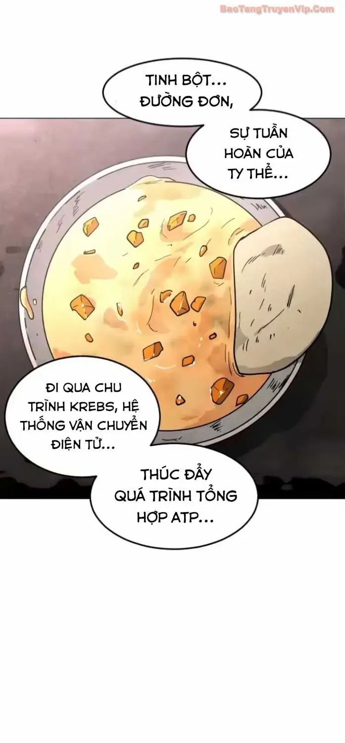 Chapter 30 - Trang 32