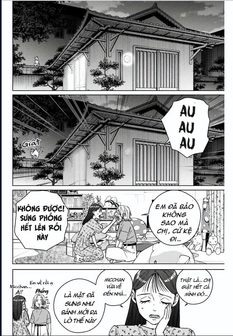 Wind Breaker (Nii Satoru) - Chap 178 - Trang 2