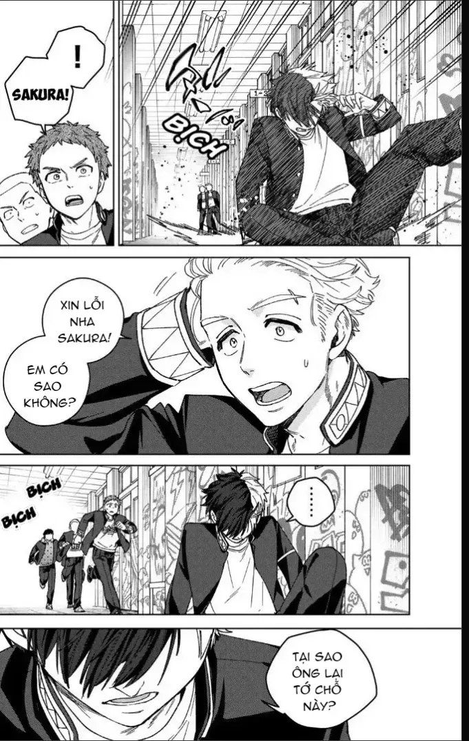 Wind Breaker (Nii Satoru) - Chap 212 - Trang 20