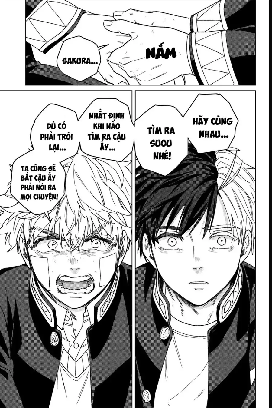 Wind Breaker (Nii Satoru) - Chap 213 - Trang 15