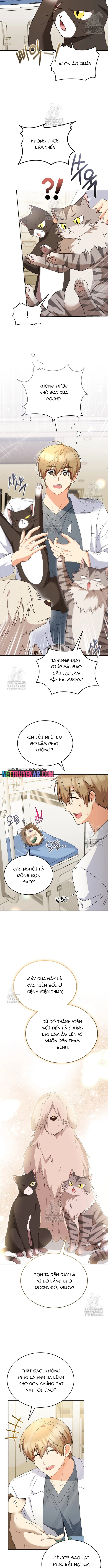 Chương 100 - Trang 7