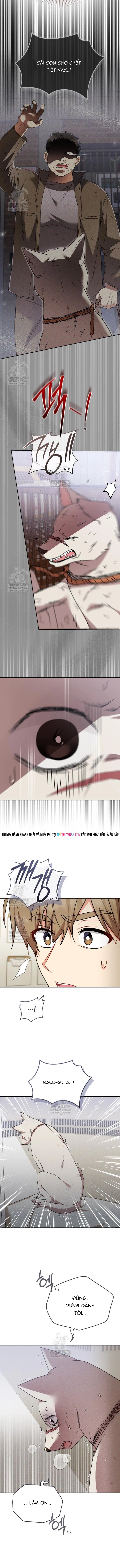 Chương 114 - Trang 9