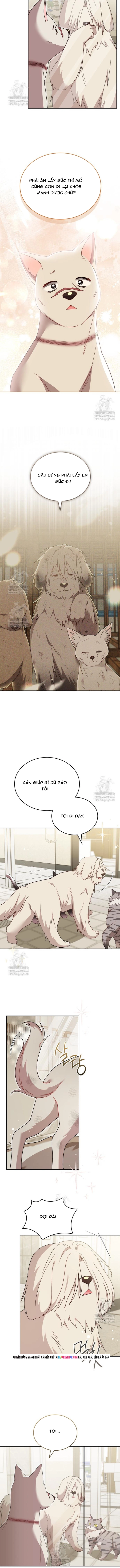 Chương 115 - Trang 7