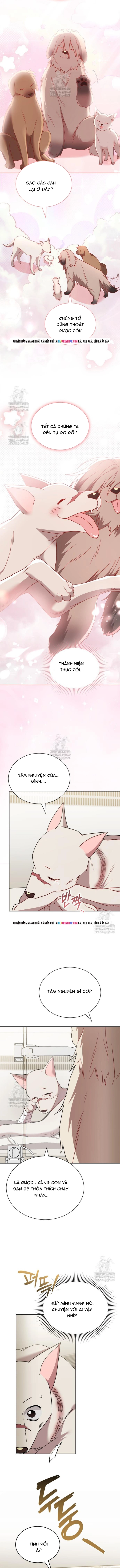 Chương 120 - Trang 11