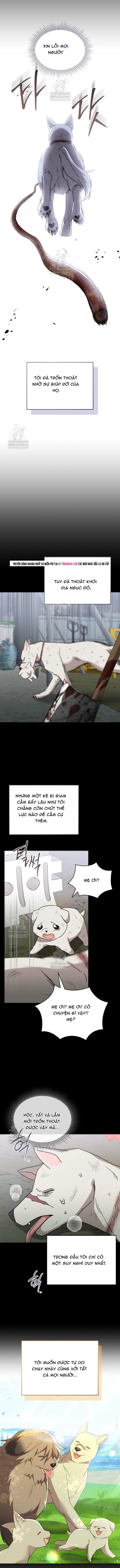 Chương 120 - Trang 9