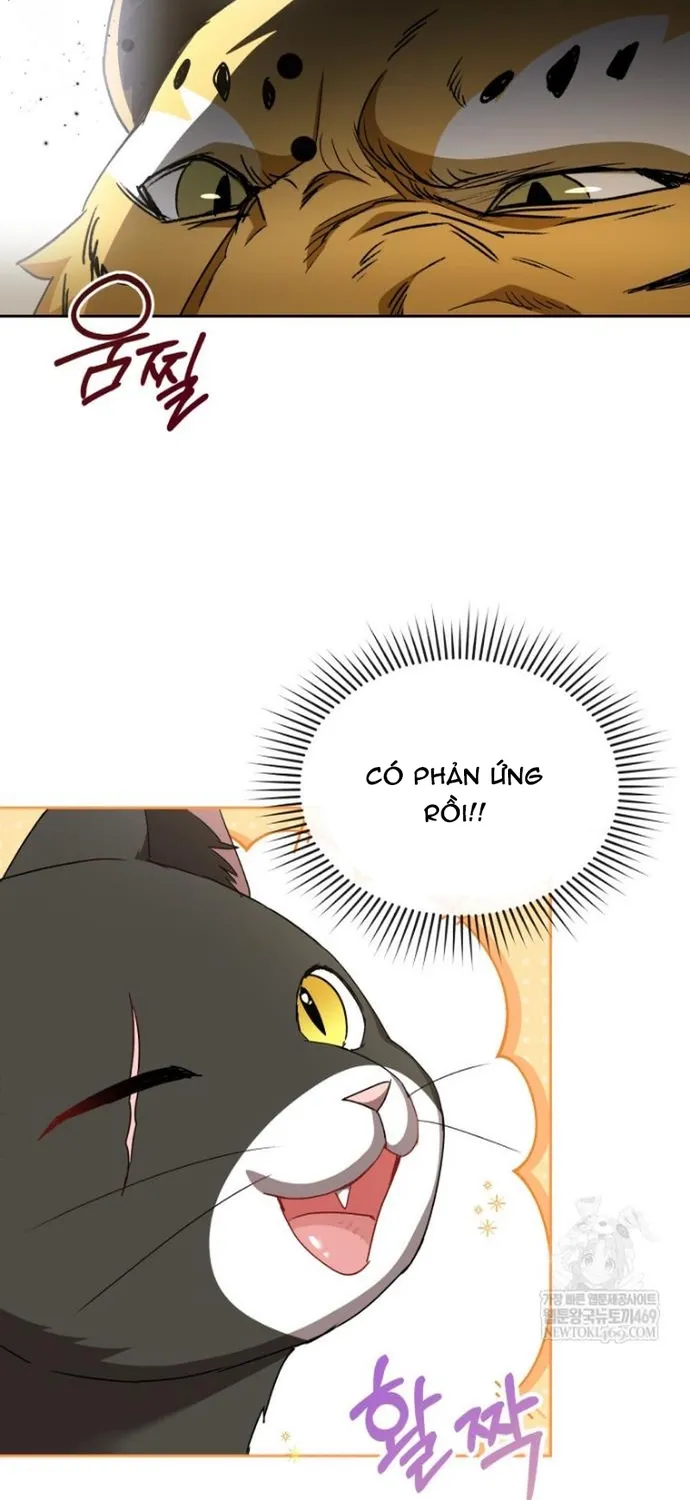 Trang 66