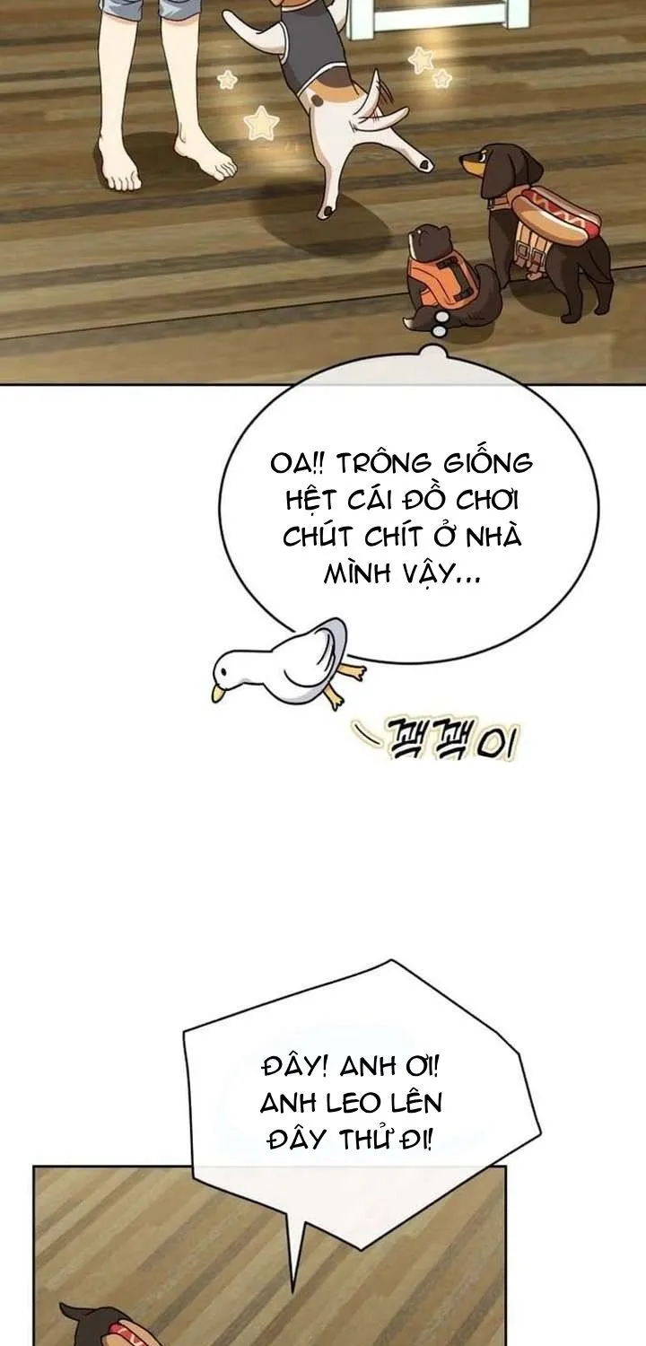 Trang 58