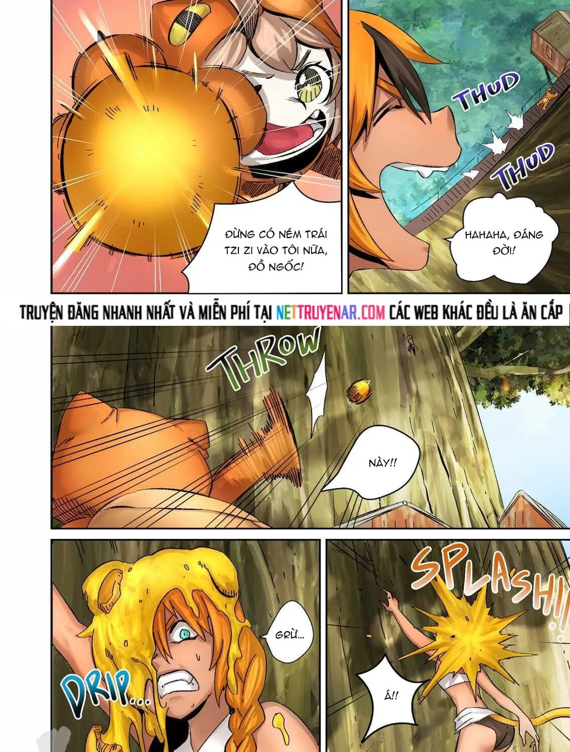 Trang 15