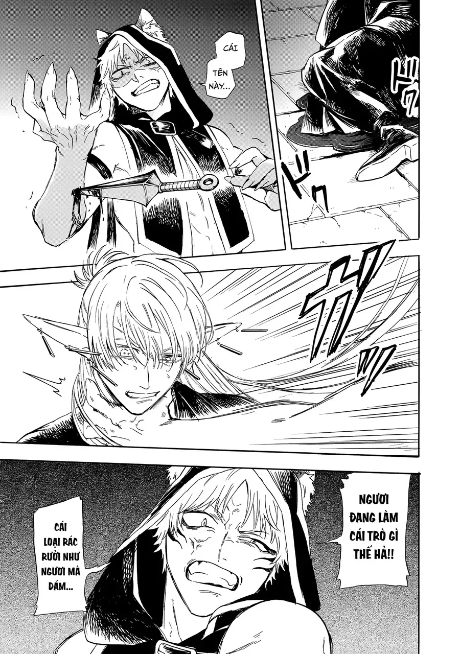 Chapter 3 - Trang 29